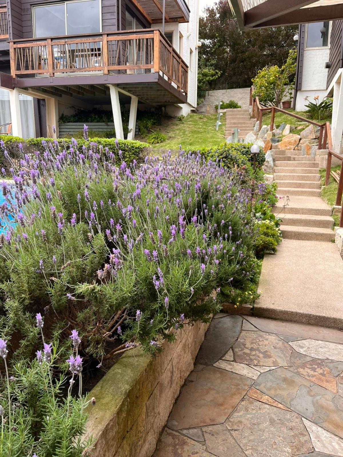 Blumen Hotel กอนกอน ภายนอก รูปภาพ